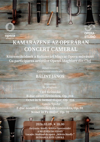 Kamarazene az Operában A3 (3)_page-0001.jpg